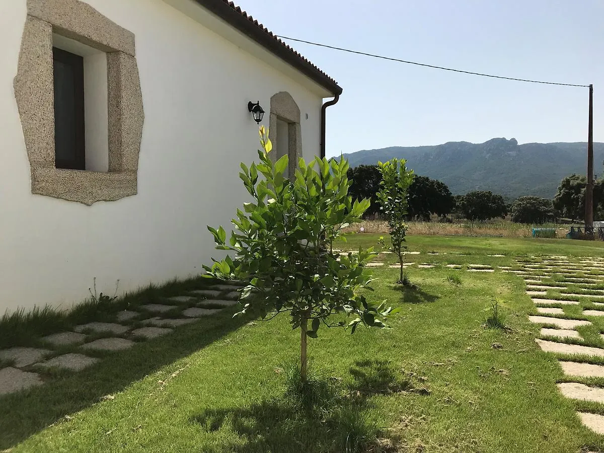 Domo Badde Dolza Hotel Monti Guest house